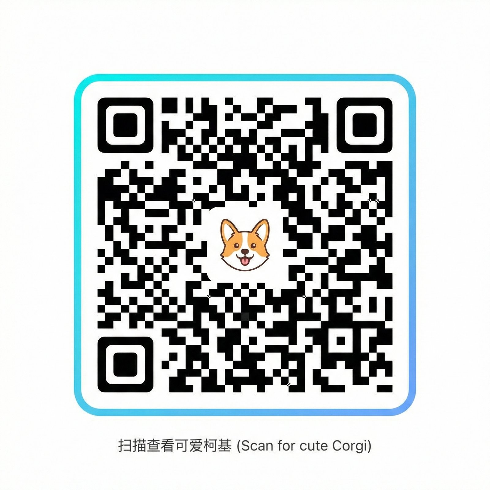 茄子视频微信公众号